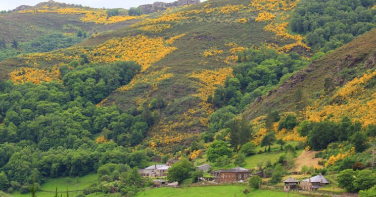 Santa Eulalia de Oscos